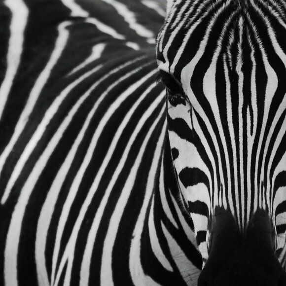 CLOSING SOON - Picture 1 of 1